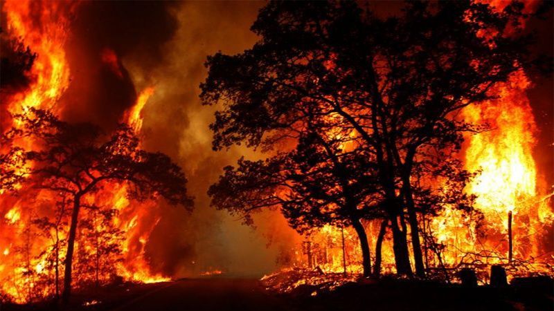 حصيلة ضحايا حرائق الغابات في أستراليا 18 قتيلا و17 مفقود ا