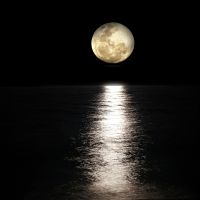 كيف ساعد  «القمر» في تحرير سفينة «إيفر جيفن»؟